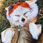 Actual_Yinnie's Avatar'