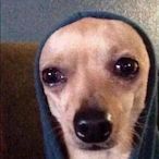 Silent_fr_'s Avatar'