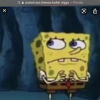 melonsoup1's Avatar'