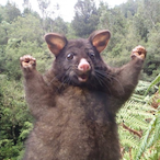 FartBubblez's Avatar'
