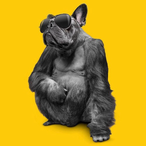 pxspr's Avatar'