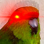 Dynov's Avatar'