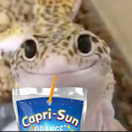 Stxtic.Capri's Avatar'