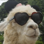 DramaLIama's Avatar'