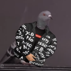 xd_PigeonCone's Avatar'