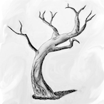 Attika-'s Avatar'