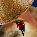 JustHexa's Avatar'