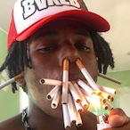 temp-9807824's Avatar'