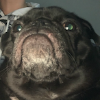 meb810's Avatar'