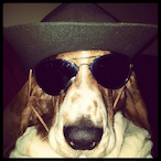 Vilkas91's Avatar'
