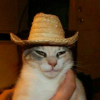 Yogurtino_'s Avatar'