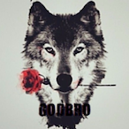 Atakannnevo's Avatar'