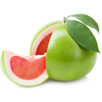 Citrus.Pomelo's Avatar'