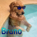 quemleuocumedeu's Avatar'