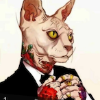 StarrySkyOOO's Avatar'