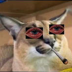 floppawontmiss's Avatar'