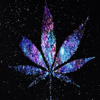 Zerfiiigoo's Avatar'