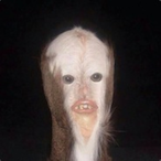 SIammIn Who's Avatar'