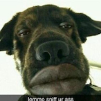 Thugsgethype's Avatar'
