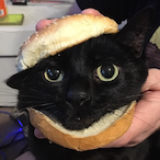 Hampusn2's Avatar'