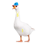 C9.digsug's Avatar'