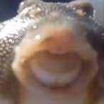 TimTomBimBom's Avatar'