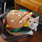 CatBurgers's Avatar'