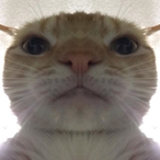 Matty_Mcladz's Avatar'