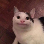 Gruchobot's Avatar'