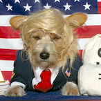 MilkMan055's Avatar'