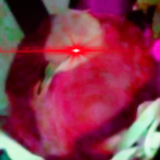 BL4CKOUTS's Avatar'