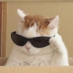 KidMilli_'s Avatar'