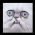 weini421's Avatar'
