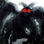 Moth.Man.'s Avatar'