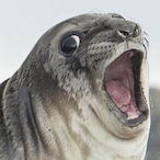 Ugly_NooB's Avatar'