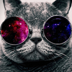 Maximum_Steed's Avatar'