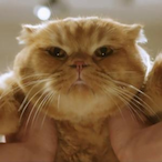 OrangeSlime00's Avatar'