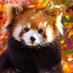 TheRedSpade0's Avatar'