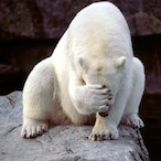 SW.Sansibaer's Avatar