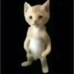 urmama8's Avatar'