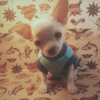 Nuns17limit's Avatar'