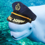 marwil21367's Avatar'