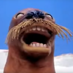 Zikami_'s Avatar'