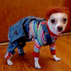 Middle..Nut's Avatar'