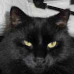 Action_Slacks's Avatar