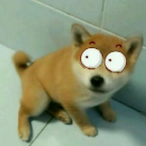 Enjuaga's Avatar'