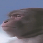 rabbi_bladee's Avatar'
