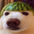 Femboychud078's Avatar'