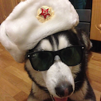 AMFinity_hehe's Avatar'