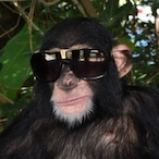 LankstrMan's Avatar'
